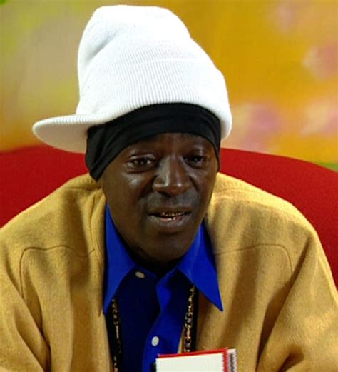 flavor flav wiki|is flavor flav a one hit wonder.